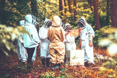 People at the beekeeping activity at Camp Wildfire. A summer weekend break in a forest near London and Kent. An outdoor woodland retreat featuring adventure activities, live music, DJs, parties and camping. Half summer adventure activity camp, half music festival, for adults only.